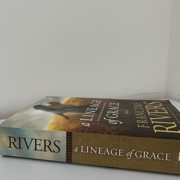 Book Series - Picture 1 of 2